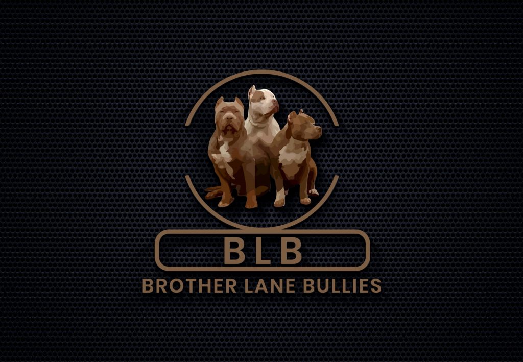 BLB — 3D Logo